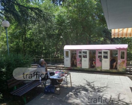 Пловдивчани чоплят семки с... ЕГН! Да им е сладко! СНИМКИ