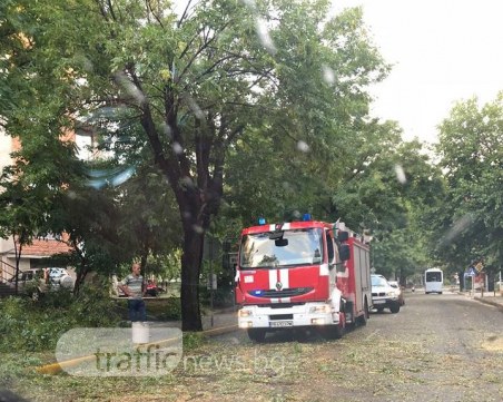 Пожарникари изчистиха падналите клони и дървета в центъра за нула време