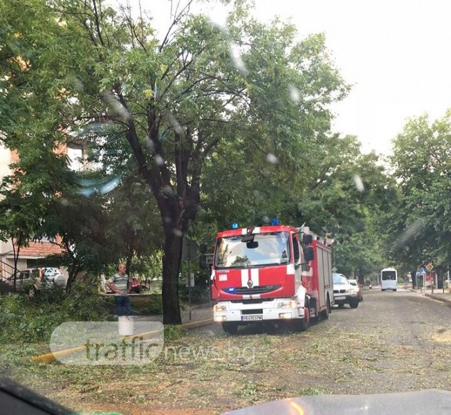 Пожарникари изчистиха падналите клони и дървета в центъра за нула време