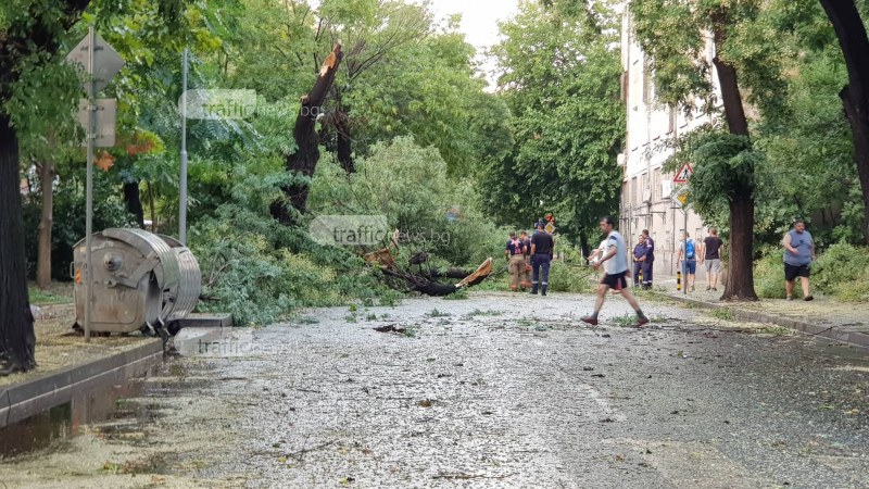 Центърът на Пловдив е блокиран, паднали дървета затвориха две улици СНИМКИ