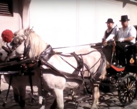 Пловдив ми е Прага! Конски тропот отеква по калдъръмите на Стария град СНИМКИ+ВИДЕО