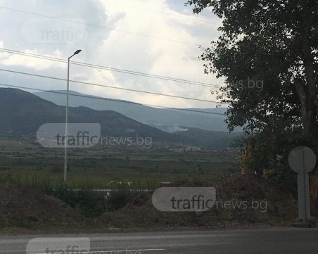 Пожар край Пловдив! Три екипа огнеборци и горски служители се борят с огъня