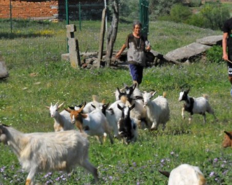 Започва изплащането на обезщетенията в село Шарково