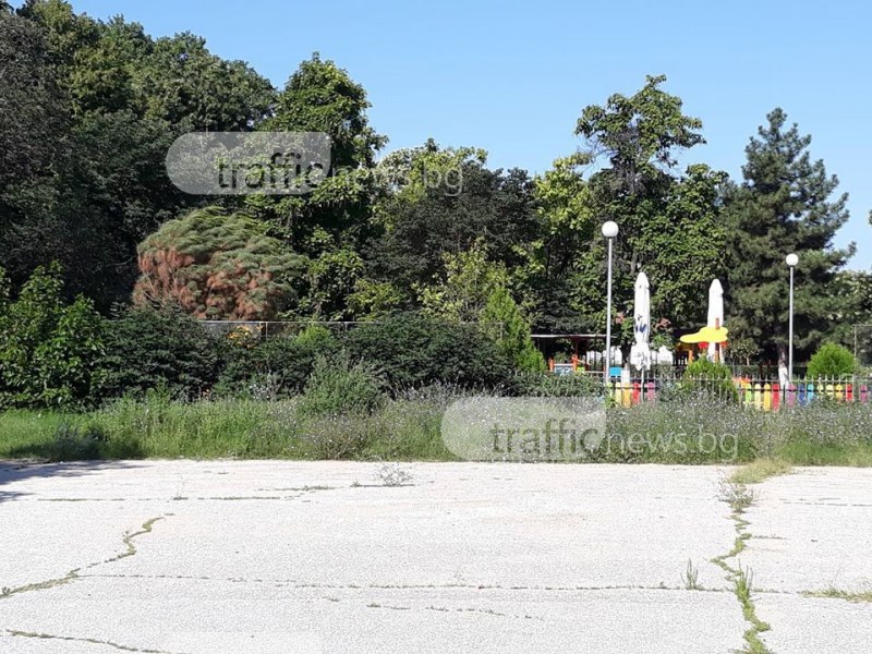 Най-старата детска площадка в Гагарин скоро изобщо няма да се вижда СНИМКИ