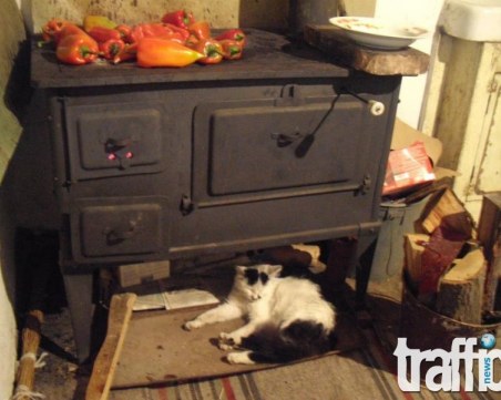 Подменят печките на дърва и въглища в Пловдив с еко отопление за 7 милиона