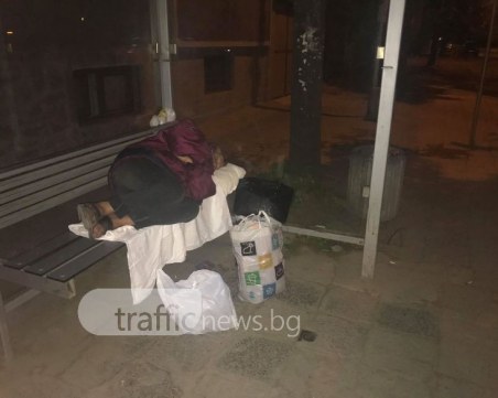 Правят луксозен приют в Пловдив! Прибират от улиците над 80 души