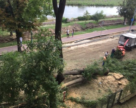 Жестока сеч по бул. “Марица“! Налага ли е наистина, питат пловдивчани