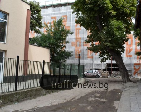 Дърво заплашва да рухне върху пешеходци и автомобили в Пловдив СНИМКИ