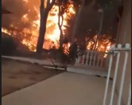 ВИДЕО показва огнения ад в Гърция, за минута пожарът изпепелява всичко по пътя си