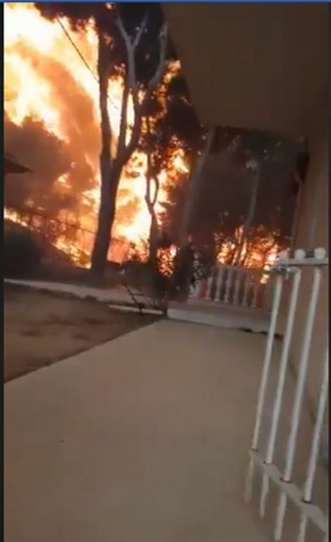 ВИДЕО показва огнения ад в Гърция, за минута пожарът изпепелява всичко по пътя си