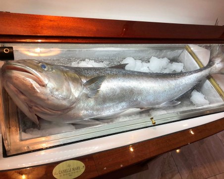 20-килограмови риби приготвят по италианска рецепта в центъра на Пловдив СНИМКИ+ВИДЕО