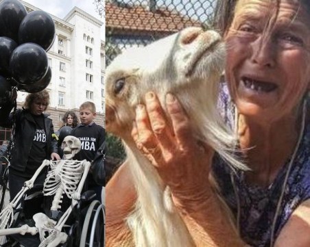 Аман с тая Баба Дора!, ревнаха българи. И баба Дора ни раздели... ВИДЕО