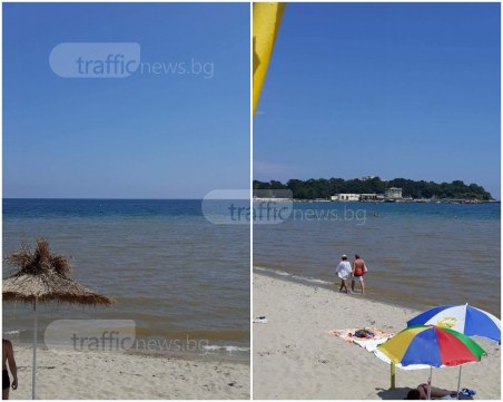 Пловдивчани в кафяво Черно море: Гнус! Заля ни помия с фекалии, всички са болни ВИДЕО и СНИМКИ
