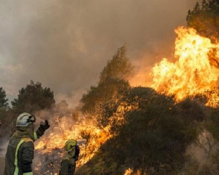 Гърция се прощава с част от загиналите при опустошителните пожари