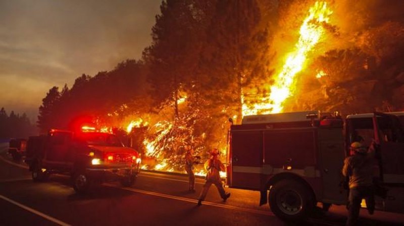 Над 38 хил. души бяха евакуирани заради голям пожар в Калифорния