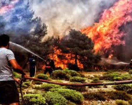 Арестуваха мъж за опустошителните пожари в Атина