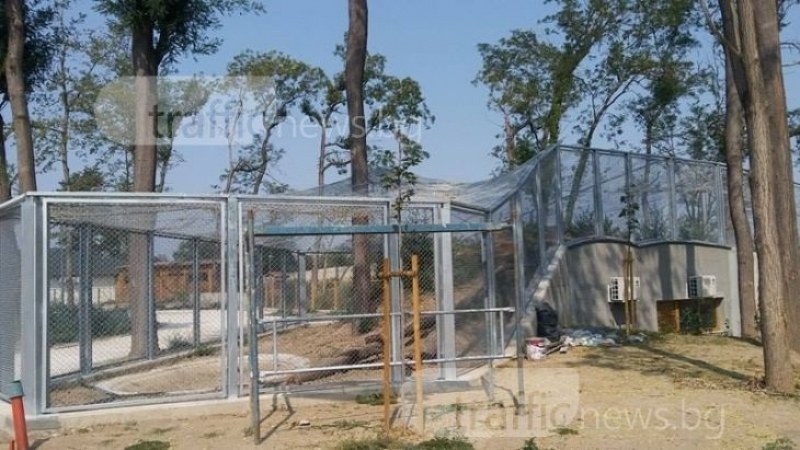 Абсурд! Зоопаркът в Пловдив ще продължи да се върти в съдилищата