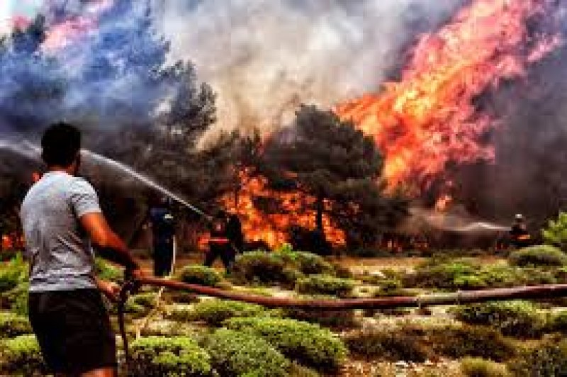 Арестуваха мъж за опустошителните пожари в Атина