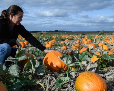 Българи бягат заради Брекзит, реколтата на Англия пред провал!