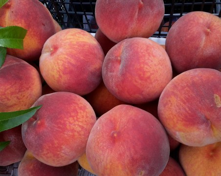 Карамелизирани праскови, запечени с бяло вино и мед, ще изкушат пловдивчани