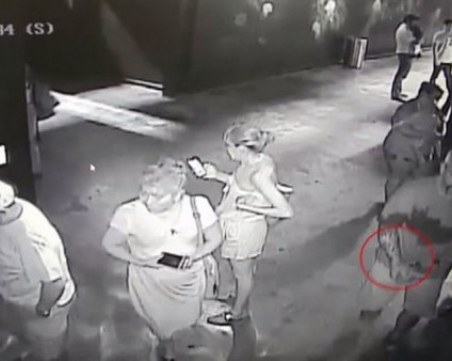 Крадци задигнаха жива акула от аквариум СНИМКА+ВИДЕО