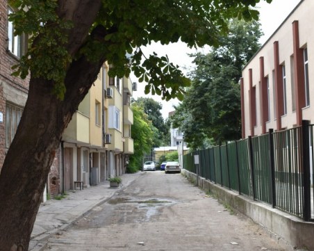 Старият кестен ще продължава да препъва пловдивчани в Кършияка