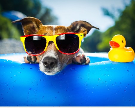 Ето как ще се чувстваш днес според зодията си