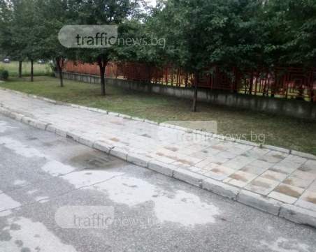 Почистват ли се всички шахти в Пловдив от ОП 