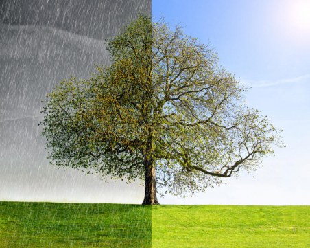 След пороя тази нощ - край на дъждовете под тепетата! Лятото идва с температури от 30-33 градуса