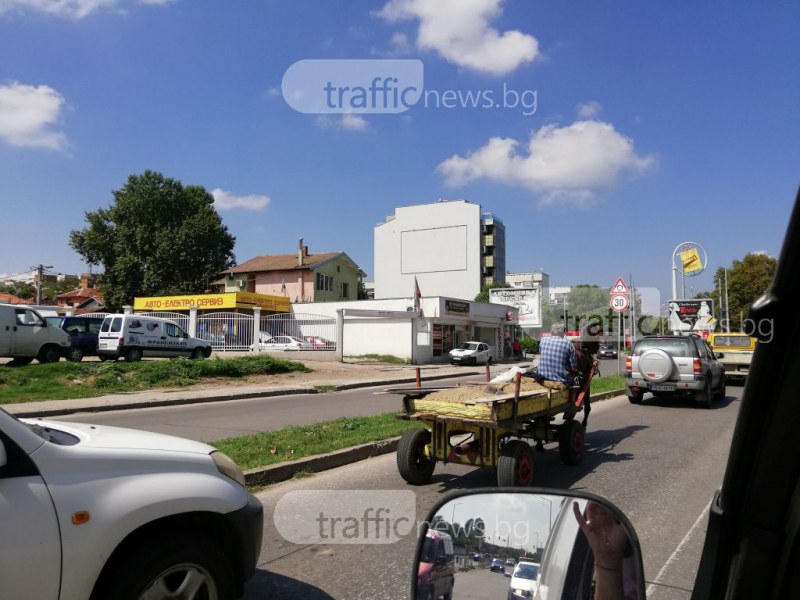 Каручките отново станаха трън в очите на пловдивчани