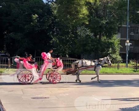 Загадъчен мъж се разходи с розов файтон из Пловдив! Накъде се е запътил? СНИМКИ