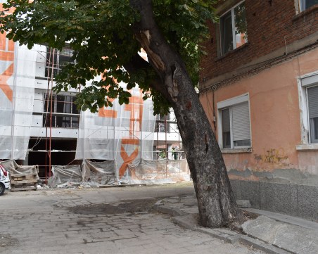 Край на сагата в Кършияка! Прогнилият кестен вече няма да препъва пловдивчани