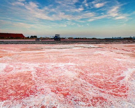Труп на мъж с огнестрелна рана в гърдите беше открит в Бургас