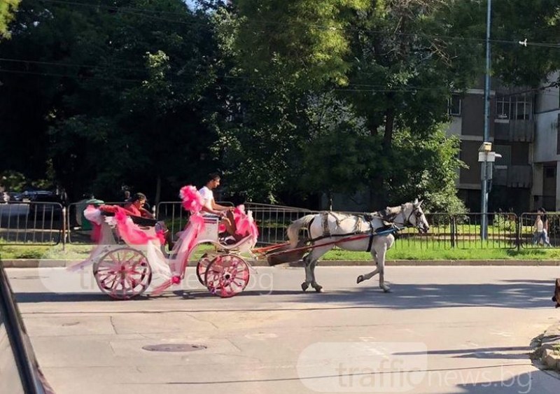 Загадъчен мъж се разходи с розов файтон из Пловдив! Накъде се е запътил? СНИМКИ