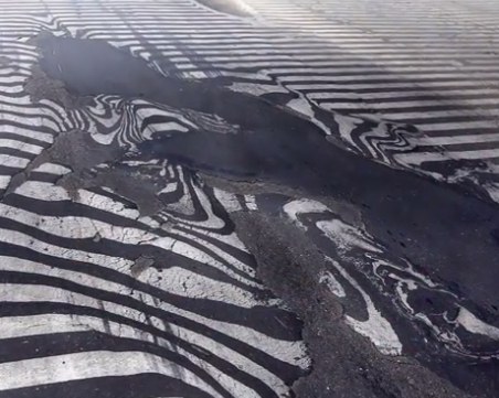 Асфалтът се разтопи в Холандия! Обуха обувки на полицейски кучета заради жегата