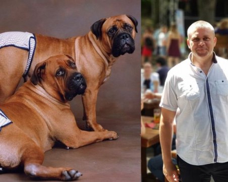 (Не)възможната история на една идея: Назначават 100 души, за да сменят пелени на кучета и котки в Пловдив