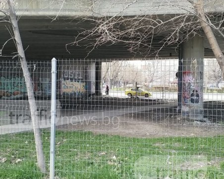 Пловдивчанин предлага вместо на кучетата памперси да слагат на... таксиджиите СНИМКИ