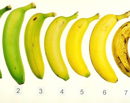 Зелените, зрелите и презрелите банани носят различни ползи за здравето