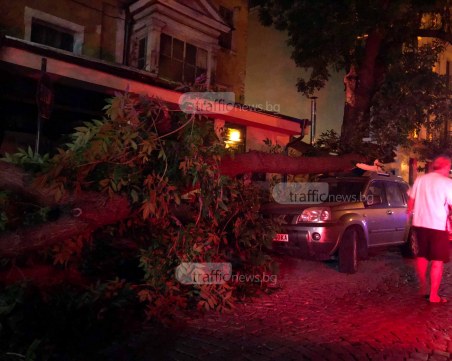 Дърво падна въху автомобил в центъра на Пловдив СНИМКИ