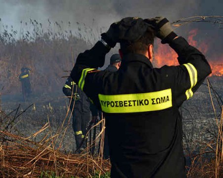 Нов пожар избухна край Атина, този път в селището Неа Макри