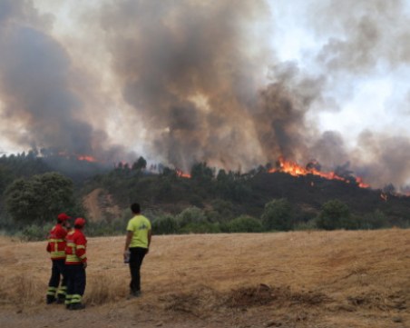 Пожар избухна заради жегата в Германия, десетки души пострадаха