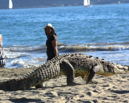 Топ 5: Най-опасните места за плуване по света СНИМКИ