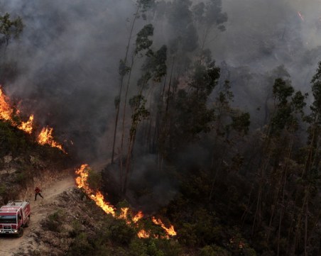 Паника и евакуация в Португалия, температурен рекорд в Норвегия