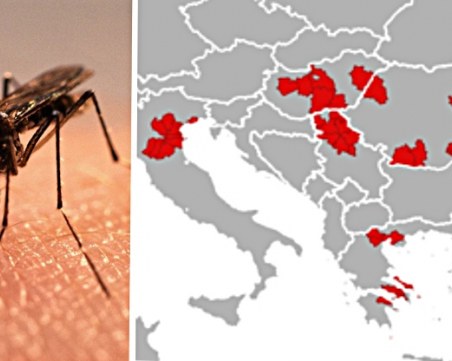 Западнонилската треска вече взе 12 жертви на Балканите