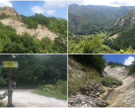 Хайде на разходка в Родопите! Един страхотен маршрут само на 50 км от Пловдив СНИМКИ