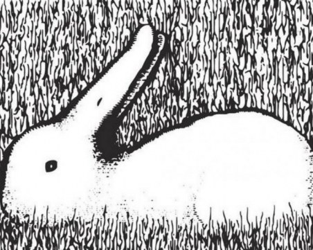 Първото нещо, което видите на картинката, разкрива характера и бъдещето ви