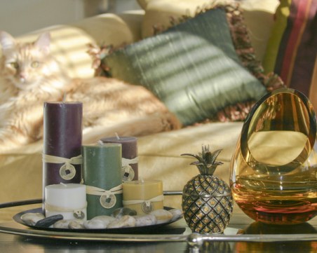 6 признака, че домът ви има добра енергия според фъншуй