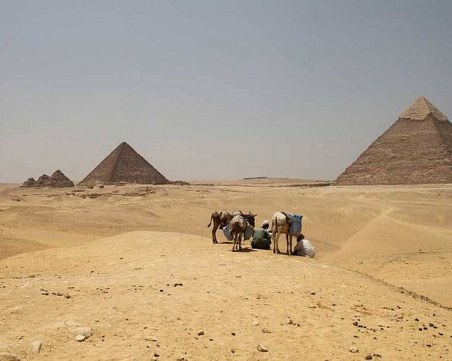 Археолози откриха в Египет най-старото сирене в света