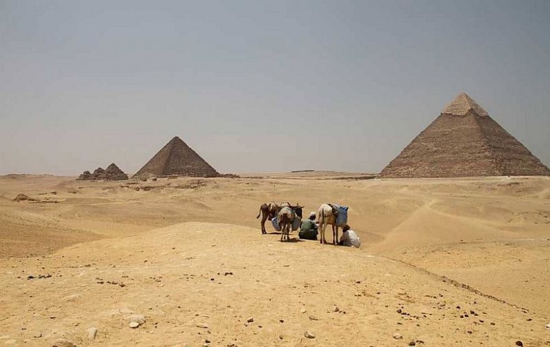 Археолози откриха в Египет най-старото сирене в света