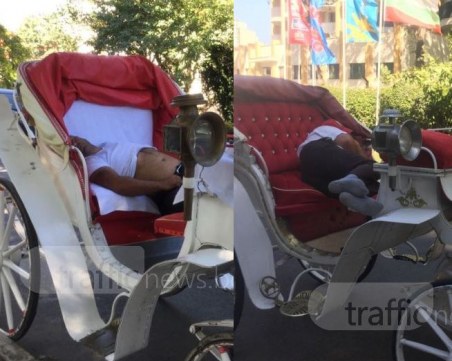 Романтика с аромат на конски фъшкии - само срещу 50 лева на Слънчака СНИМКИ